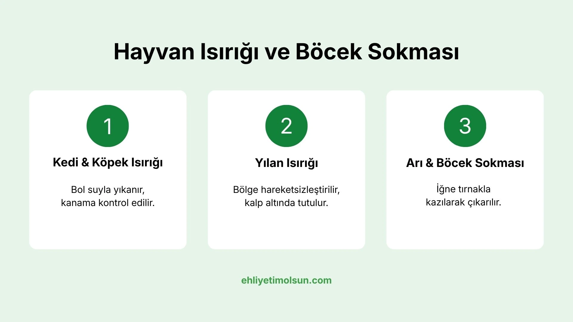 Hayvan ısırığı ve böcek sokmasında ilk yardım